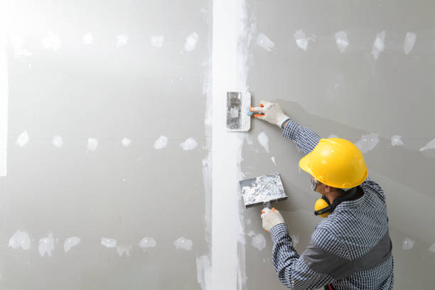 Best Drywall Patching  in Portola, CA